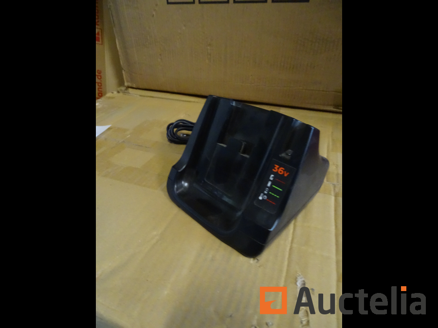 Battery charger BLACK DECKER 36 v Hand tools auctelia