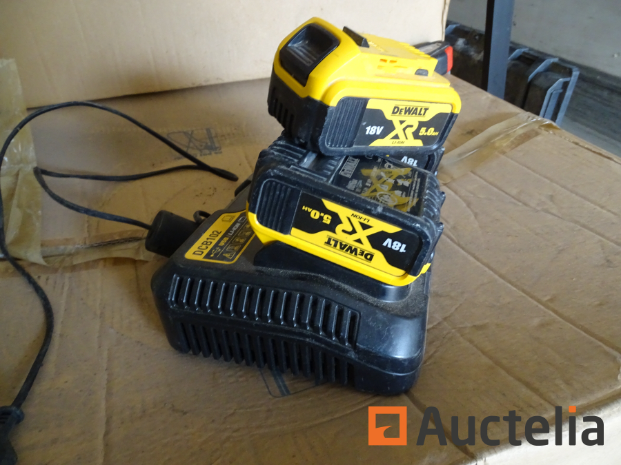 Double dewalt best sale battery charger