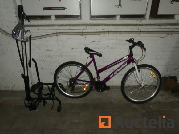 Muddyfox discount purple bike