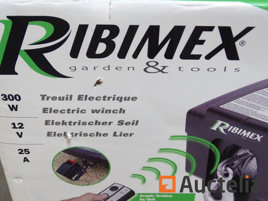 Treuil Électrique 12 v à télécommande,RIBIMEX,PE12V-T1,PE12V/T1