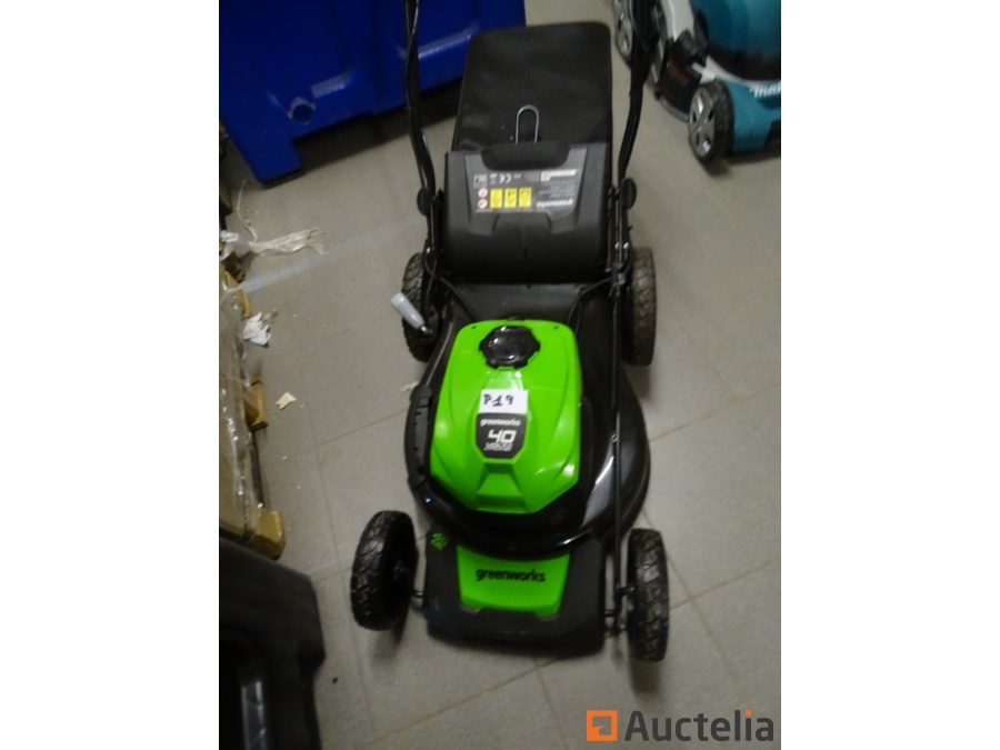 Greenworks gd40lm46spk2x on sale