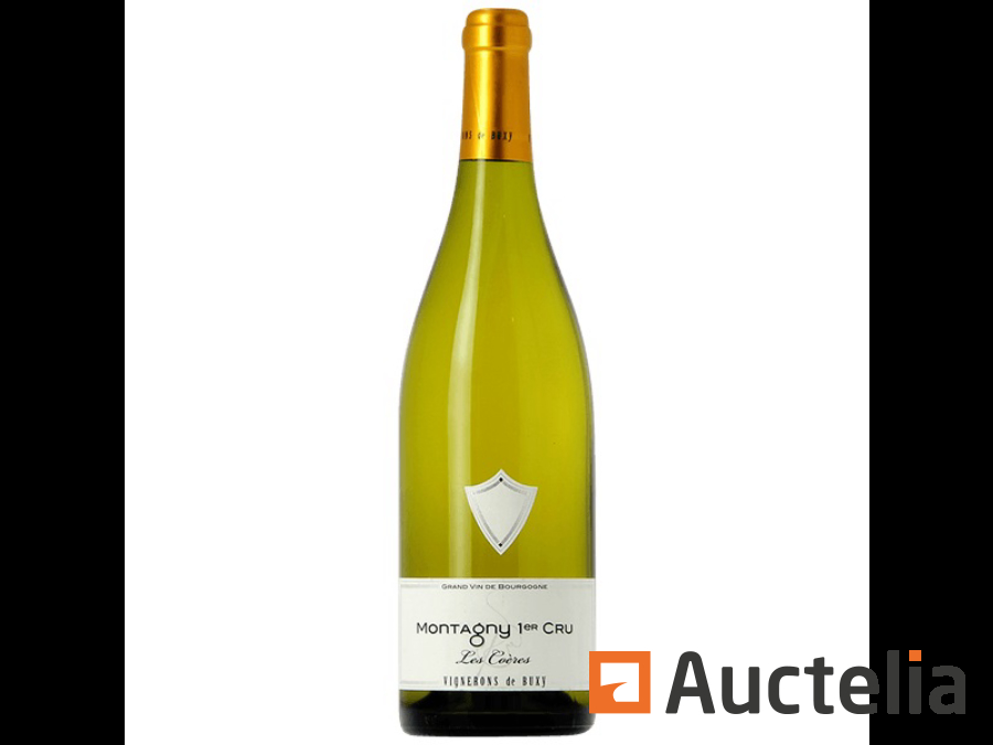 Bourgogne : de grands vins blancs de vignerons réputés à prix