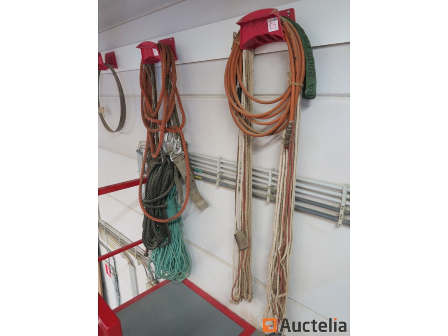Ceinture De Longe En Nylon Pour Poney - Longeron Réglable - Neuve